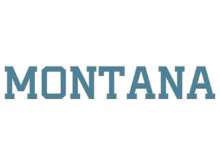 US State Cities Embroidery Cross Stitch Design