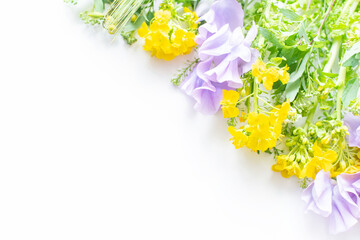 スイトピー、菜の花　春の花の花束