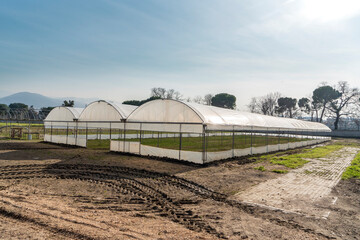 Wide shot of three greenhouses standing between the dirt road and trees.