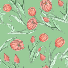 Seamless pattern of pink tulip flowers on a white background. watercolor illustration. Set, Best for packaging, textile or printed design. Spring symbol