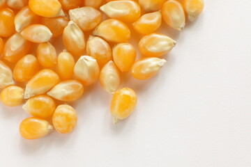 dried corn on wooden plate for cooking popcorn ingredient