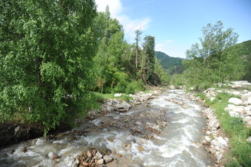 Almaty / Kazakhstan - 06.09.2011 : Cleaning of trees felled by a hurricane. Utility employees saw and remove logs from the Central roads around the mountains.