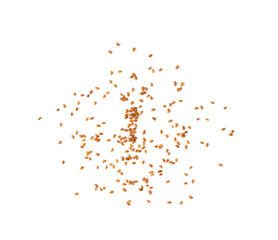 Brown Teff Grain on white background