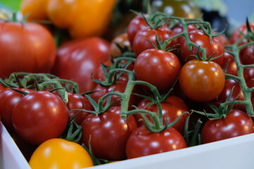 Boxes of tomatoes from the greenhouse. Year-round vegetable growing.