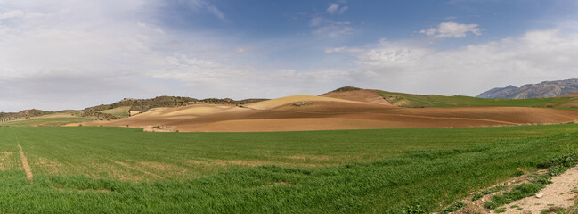 beautiful panorama landscape of fertile green field and freshly plowed brown earth acres under an...