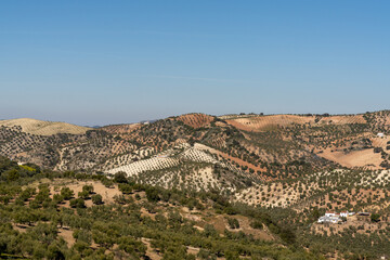Fototapeta na wymiar hilly farmland and backcountry in the south of Spain