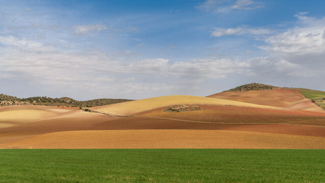 beautiful  landscape of fertile green field and freshly plowed brown earth acres under an expressive sky