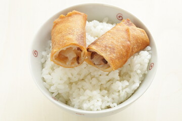 Chinese dim sum spring roll, dumpling on rice with copy space