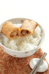 Chinese dim sum spring roll, dumpling on rice with copy space