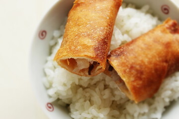 Chinese dim sum spring roll, dumpling on rice with copy space