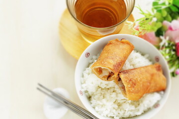 Chinese dim sum spring roll, dumpling on rice with copy space