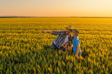 Father and son are standing in their growing wheat field. Father is teaching his successor about cultivating land.