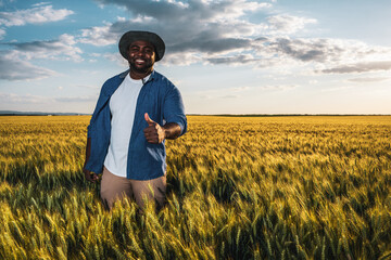 Farmer is standing in his growing wheat field. He is satisfied because of good progress of plants.