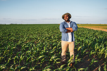 Farmer is standing in his growing corn field. He is satisfied because of good progress of plants. © djoronimo