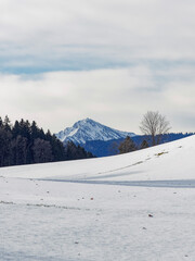 Fototapeta premium Gmund am Tegernsee am Nordufer des Tegernsees in Oberbayern mit Blick auf das schneebedecktes Massiv von Baumgartenschneid aus Osterberg, Wiesen und Weiden im Winter