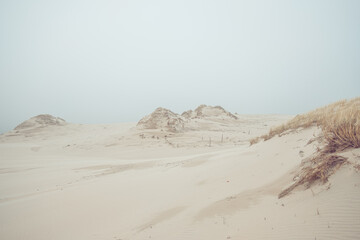 Desert sand dunes. Moving dunes of Łeba.