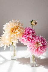 photo of a bouquet created from wild fresh spring flowers photographed on a white background in daylight, flowers for cut out white background