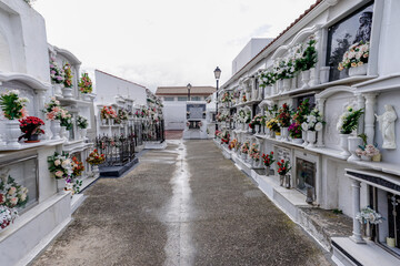 Obraz premium view of the historic Roman Catholic cemetery in El Burgo with tombs and mausoleums