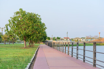 The path in the park has trees.