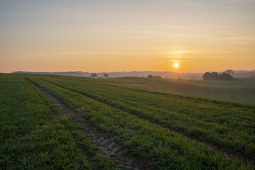Fototapeta na wymiar Sunrise over a green farmland