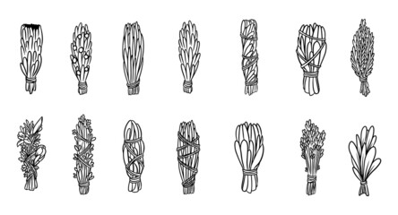 Set of sage and herbs sage smudge sticks bundles. Vector stock hand-drawn set of isolated doodles on white background. Collection of bundles. Sage, rosemary, lavender, cedar, juniper, mugwort