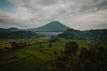Green ricefield view from Bukit Cinta, Karangasem, East Bali, with a background of Mount Agung.
