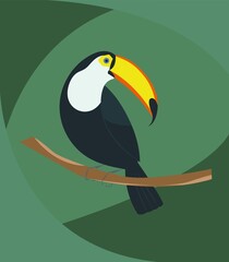 toucan bird. tropical bird with a large bright beak. flat illustration. vector