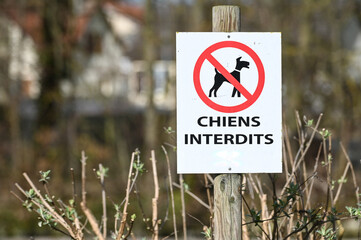 panneau chien interdit animaux animal