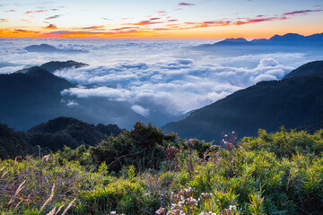 Beautiful autumn scenery in Taiwan, The fallen leaves beautiful color picture, Asia - Beautiful landscape of highest mountains blue sky in fall seaon at Taroko National Park, Taiwan