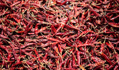 Red chili pepper background