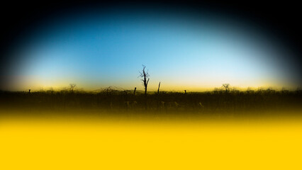 Destructed landscape in the colors of the Ukrainian flag