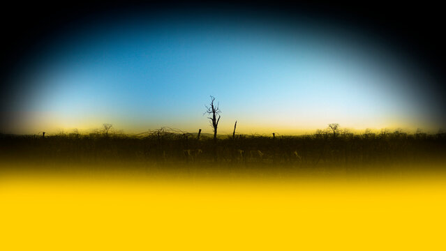 Destructed landscape in the colors of the Ukrainian flag