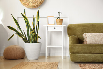 Comfortable sofa, houseplant and pouf near white wall in room © Pixel-Shot