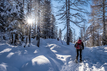 Trentino, escursione sulla neve