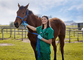 Good veterinarians talk to animals. Shot of a young veterinarian putting a bandage on a horse on a...