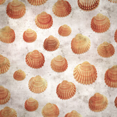 stylish textured old paper background with cockle shells