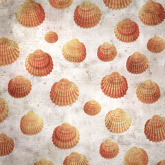 stylish textured old paper background with cockle shells