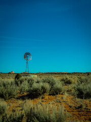 Fototapeta premium tree in the desert