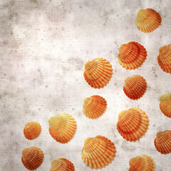 stylish textured old paper background with cockle shells