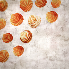stylish textured old paper background with cockle shells