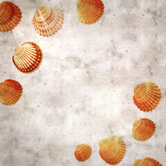 stylish textured old paper background with cockle shells