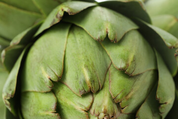 Concept of healthy food with artichoke plant