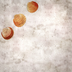 stylish textured old paper background with cockle shells