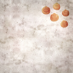 stylish textured old paper background with cockle shells