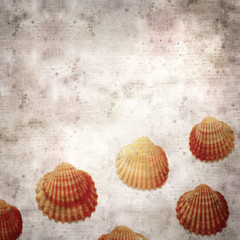 stylish textured old paper background with cockle shells
