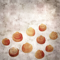 stylish textured old paper background with cockle shells