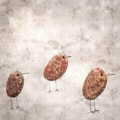 stylish textured old paper background with funny little birds made of a green ormer shell