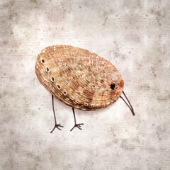stylish textured old paper background with funny little birds made of a green ormer shell