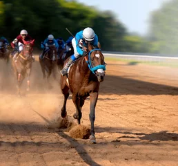 Rolgordijnen Galloping race horses in racing competition. Jockey on racing horse. Sport. Champion. Hippodrome. Equestrian. Derby. Speed © mari
