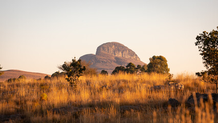 Eine großer Felsen erhebt sich aus der trocknen Graslandschaft der afrikanischen Savanne und bildet mit den grünen Bäumen im Vordergrund ein tolles Landschaftsidyll, Südafrika